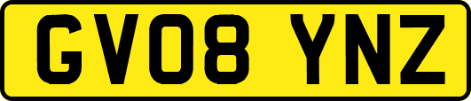 GV08YNZ