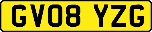 GV08YZG