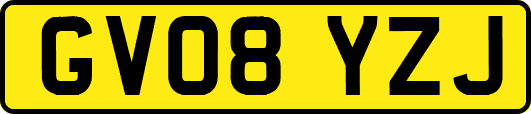 GV08YZJ