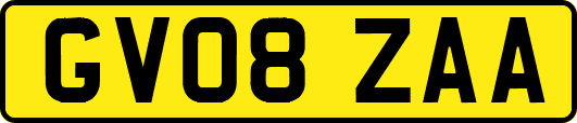 GV08ZAA