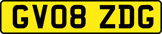 GV08ZDG
