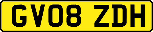 GV08ZDH