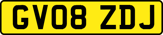 GV08ZDJ
