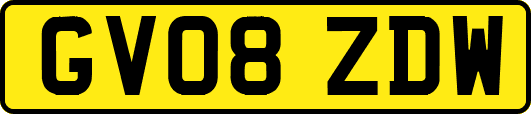 GV08ZDW