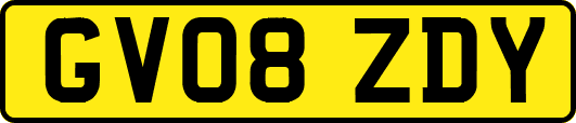 GV08ZDY