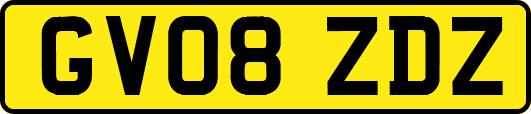 GV08ZDZ