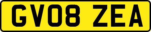 GV08ZEA