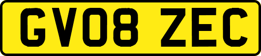 GV08ZEC