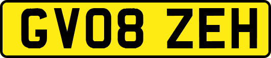GV08ZEH