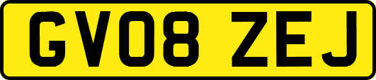 GV08ZEJ
