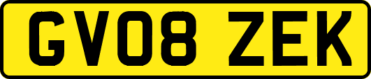 GV08ZEK