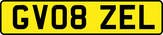 GV08ZEL