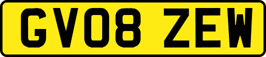 GV08ZEW