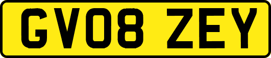 GV08ZEY