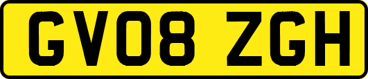 GV08ZGH