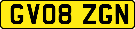GV08ZGN