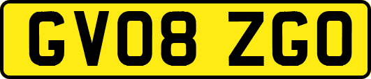 GV08ZGO