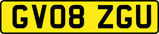 GV08ZGU