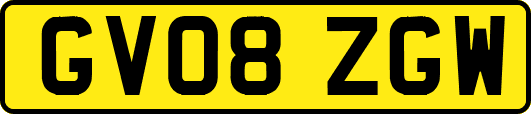 GV08ZGW