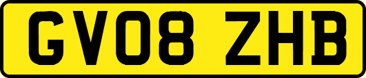 GV08ZHB