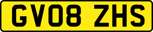 GV08ZHS