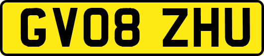 GV08ZHU