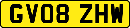 GV08ZHW