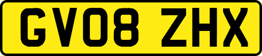 GV08ZHX