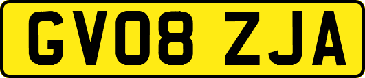 GV08ZJA