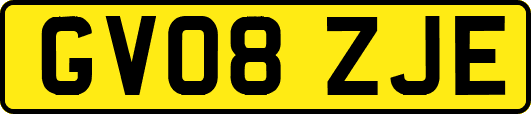 GV08ZJE