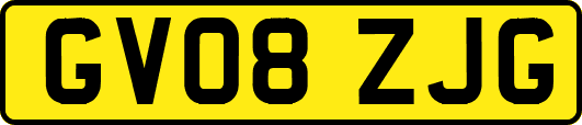 GV08ZJG