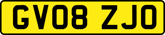 GV08ZJO