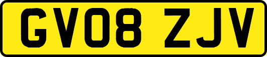 GV08ZJV