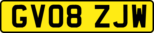 GV08ZJW