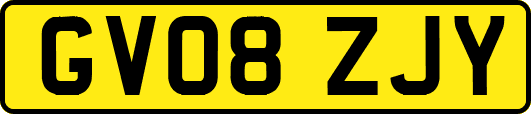 GV08ZJY
