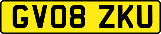 GV08ZKU