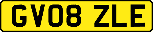 GV08ZLE