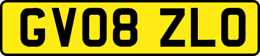 GV08ZLO