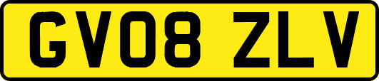GV08ZLV