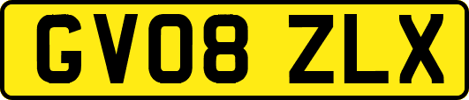 GV08ZLX