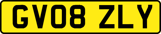 GV08ZLY