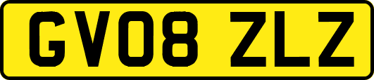 GV08ZLZ