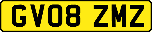 GV08ZMZ