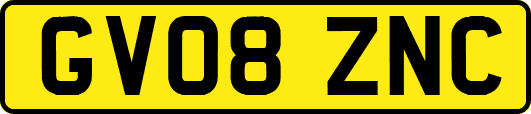 GV08ZNC
