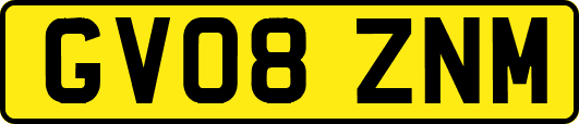 GV08ZNM