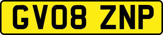 GV08ZNP