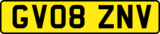 GV08ZNV