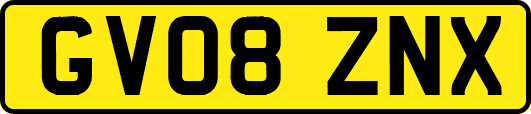 GV08ZNX