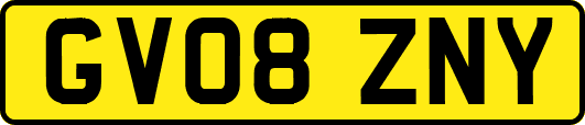 GV08ZNY