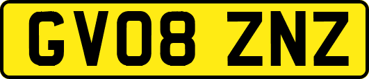 GV08ZNZ